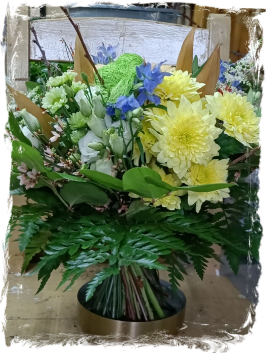 Bild1 neben petite fleur